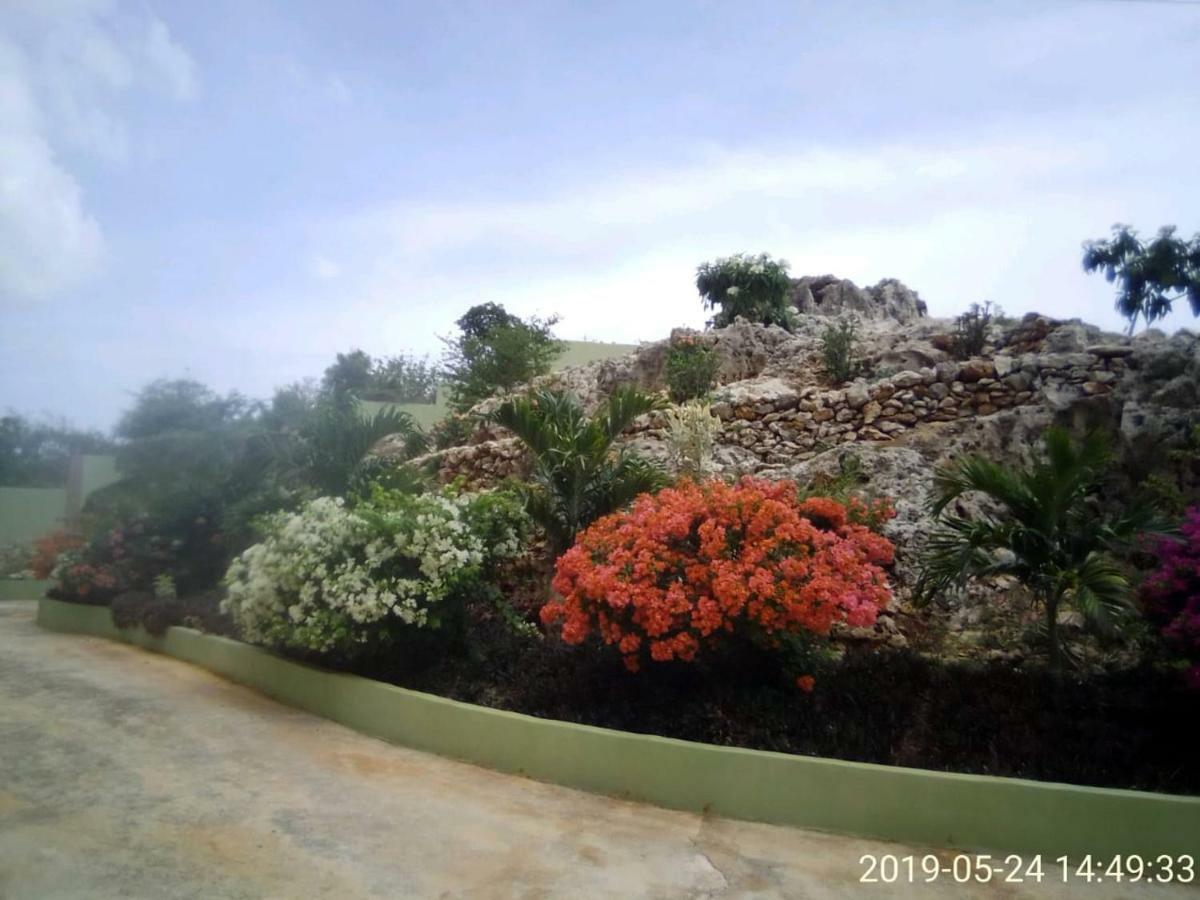 Eve'S Rockaway Villa Alligator Pond المظهر الخارجي الصورة