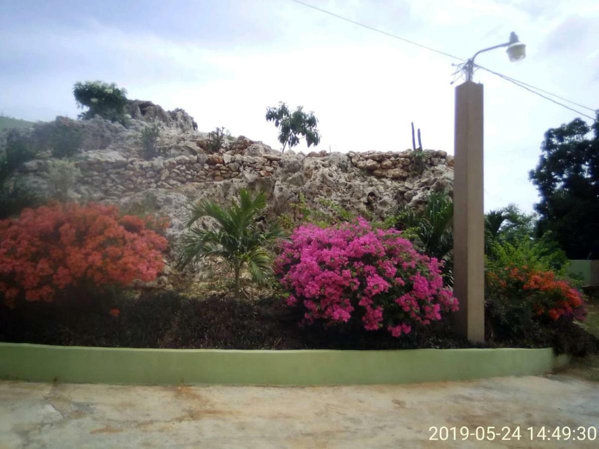 Eve'S Rockaway Villa Alligator Pond المظهر الخارجي الصورة